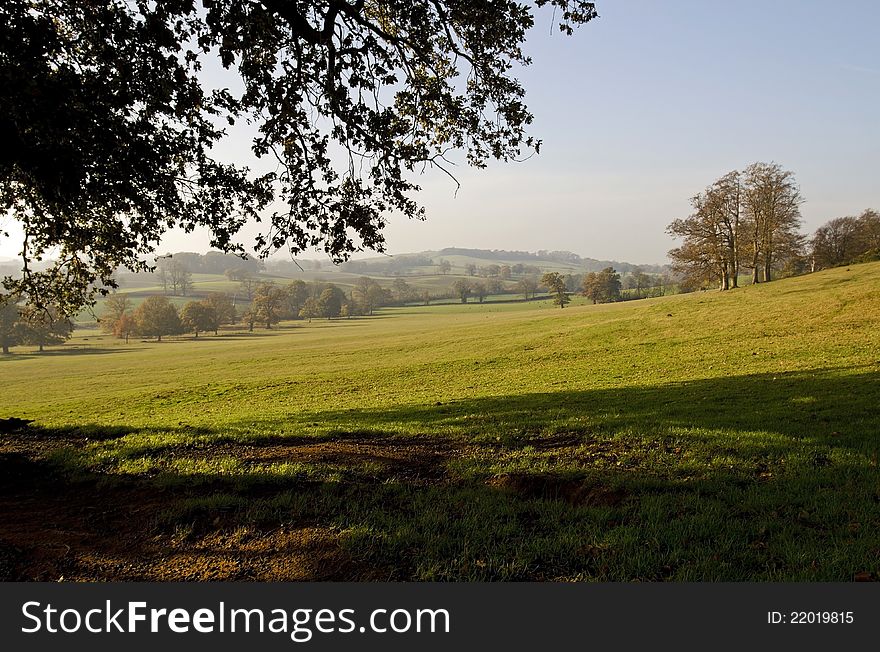 Knightley Way trees and Landscape, Fawsley, Northamptonshire, England