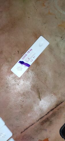 Corona Virus Covid19 Rapid Antigen Testing Kit Under Observation After Swab Collection And Test On The Table Numbered Arranged.. Stock Image Corona Virus Covid19 Rapid Antigen Testing Kit Under Observation After Swab Collection And Test On The Table Numbered Arranged.. Stock Image