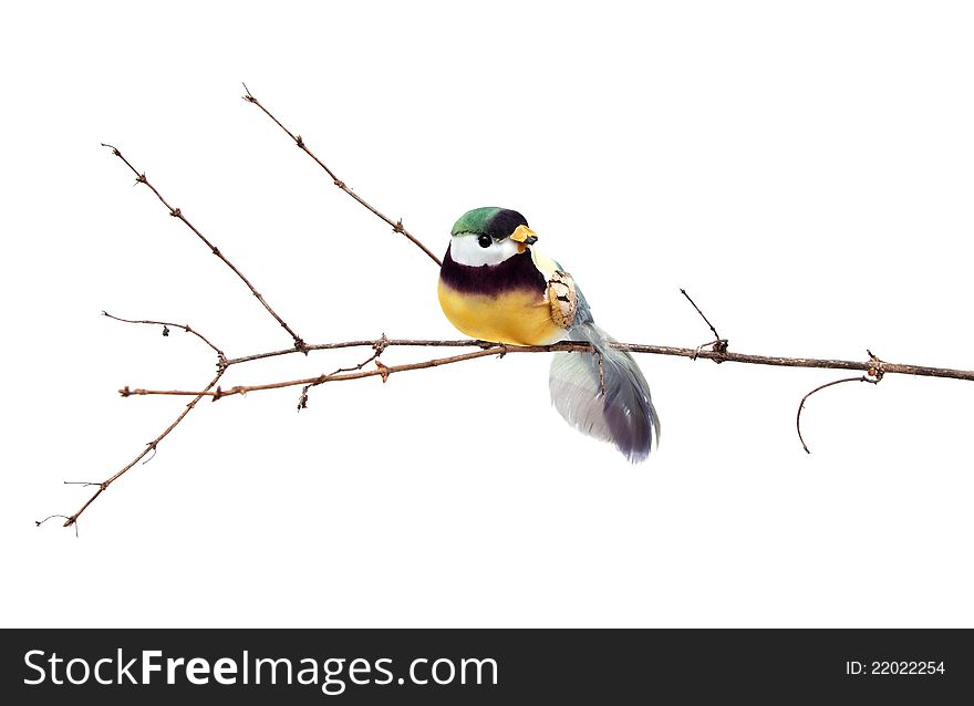 Image of a branch with perot bird sitting on it over white background