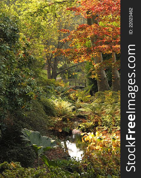 England in the autumn. Winter woodland with a stream and ornate bridge. England in the autumn. Winter woodland with a stream and ornate bridge.