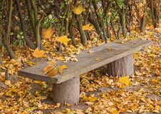 Empty Wooden Bench Stock Image