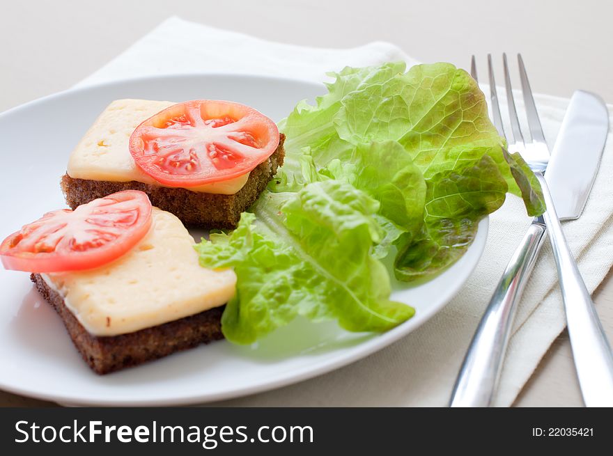 Grilled rye bread with cheese, tomatoes and salad leaves on white plate