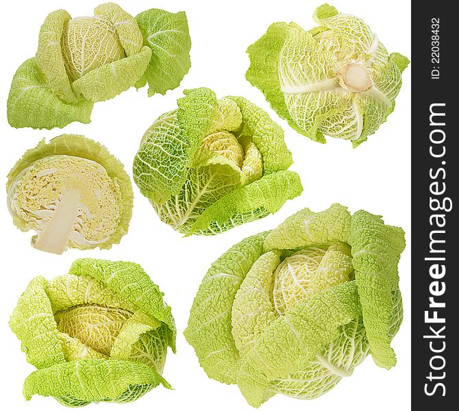 Head of Savoy Cabbage on White Background