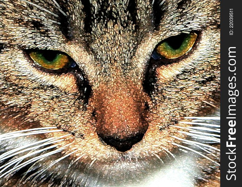 A somewhat abstract close-up portrait of a kitten, which looks like it's made of jewels. My photo heavily manipulated with digital painting. A somewhat abstract close-up portrait of a kitten, which looks like it's made of jewels. My photo heavily manipulated with digital painting.