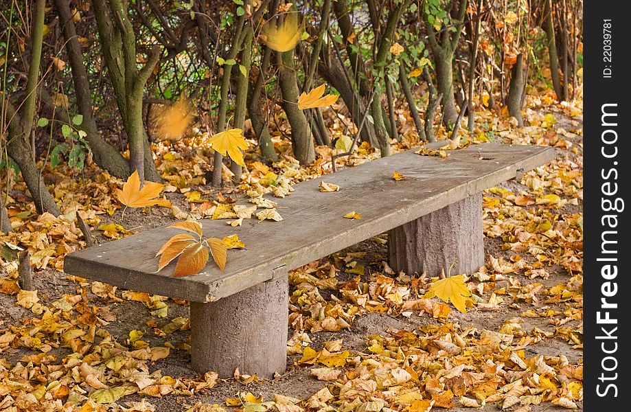 Empty wooden bench in the park.