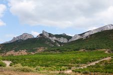 Vineyards In The Mountains Stock Photography Vineyards In The Mountains Stock Photography