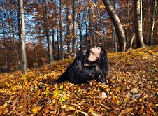 Woman Lying In Fallen Leaves Stock Photography Woman Lying In Fallen Leaves Stock Photography