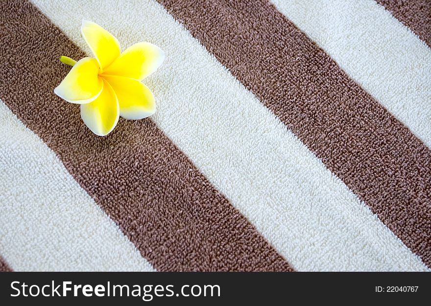 Beach towel background an a flower