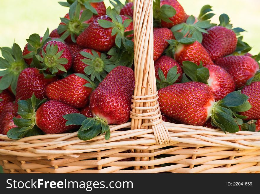 Strawberries in the basket close-up.