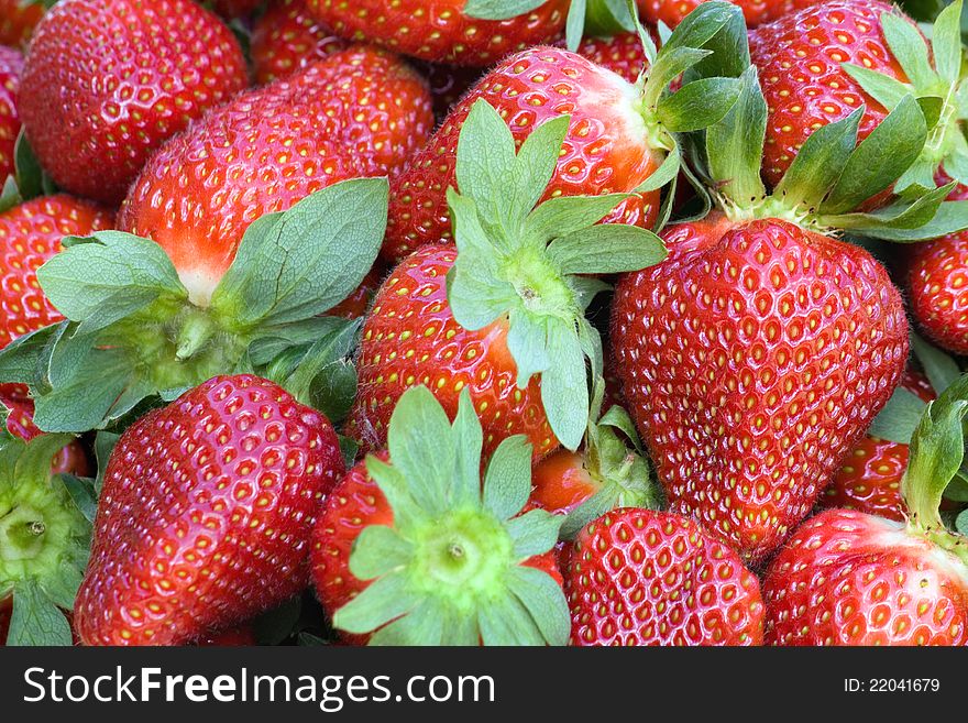 Strawberries Closeup