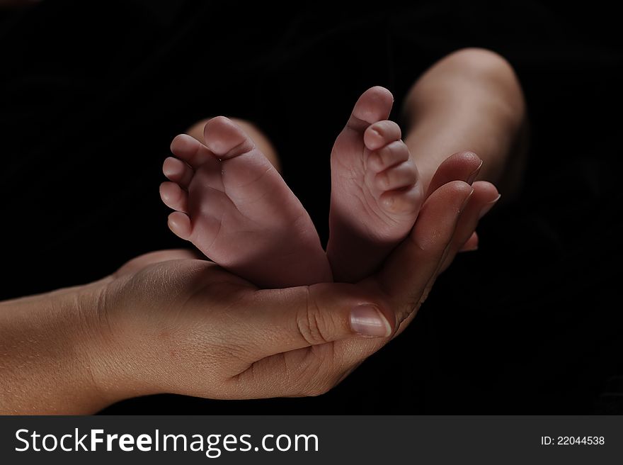 A newborn's tiny feet held gently in mom's hand. Studio shot on a black background. A newborn's tiny feet held gently in mom's hand. Studio shot on a black background.