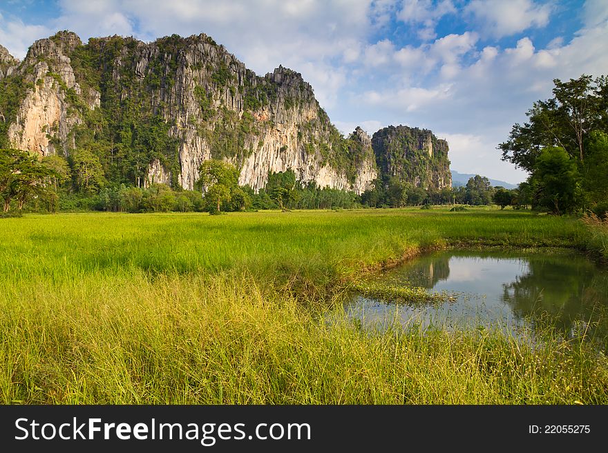 Paddy and limestone mountain at Phitsanulok, Thailand (Noen Ma Prang district). Paddy and limestone mountain at Phitsanulok, Thailand (Noen Ma Prang district)