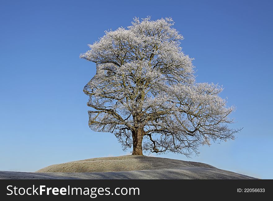 Frosty tree lady silhouette with long hairs. Frosty tree lady silhouette with long hairs