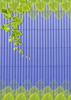 Green Leafs On Blue Roof-tile. Stock Photo Green Leafs On Blue Roof-tile. Stock Photo