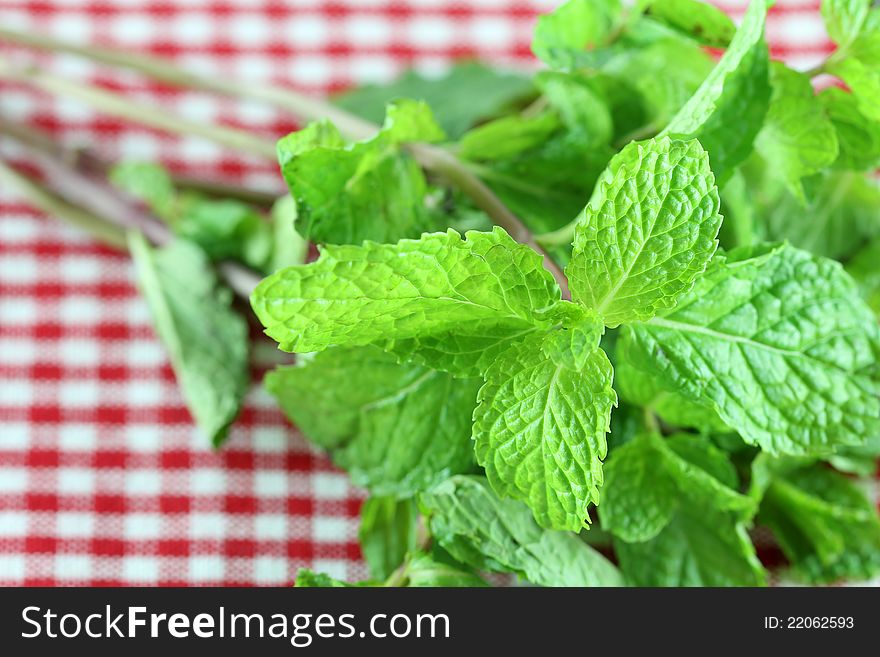 Closeup photo of fresh mint on on a Checkered table cloth