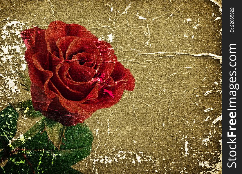 Beautiful red rose on a retro background for your design