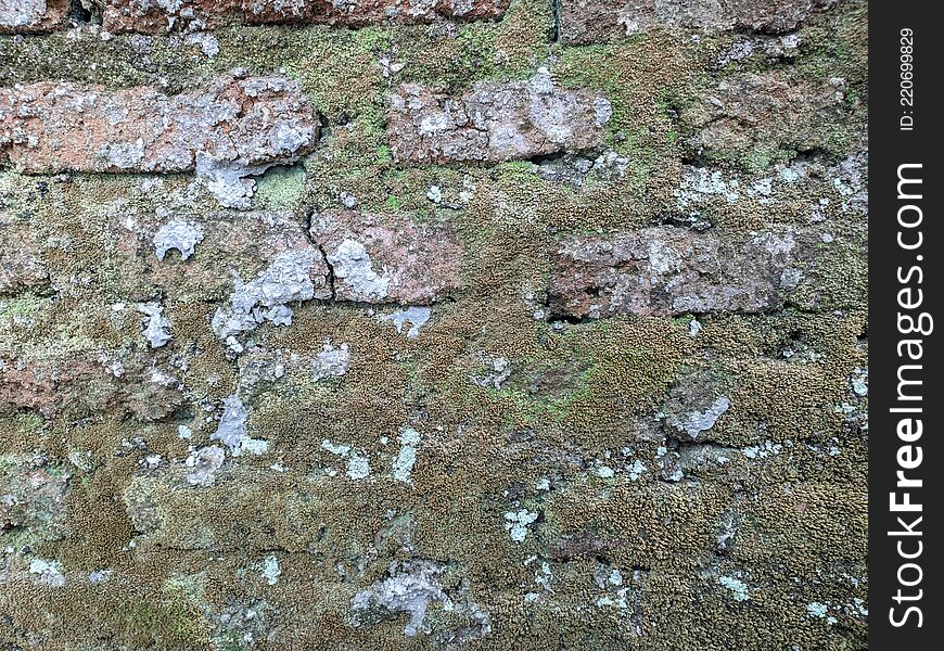 Horizontal section of the old brick wall. Horizontal section of the old brick wall