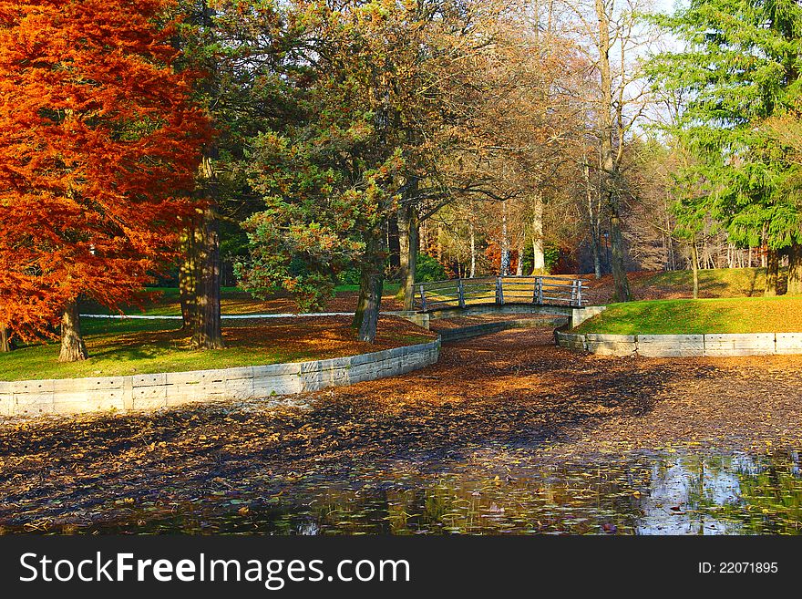 Autumn day in a beautiful park with wooden bridge and a lake. Autumn day in a beautiful park with wooden bridge and a lake.