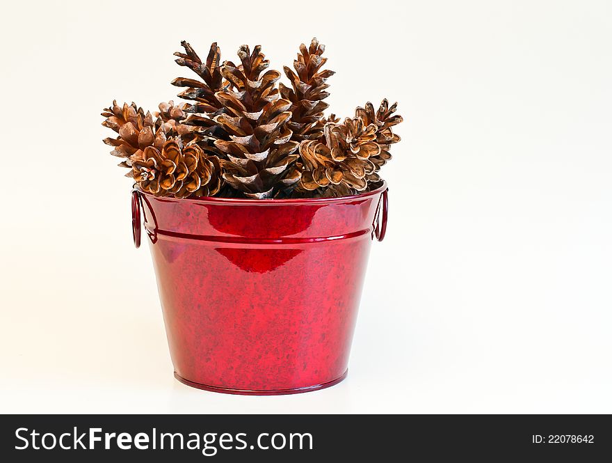 Pine Cones in Red Bucket