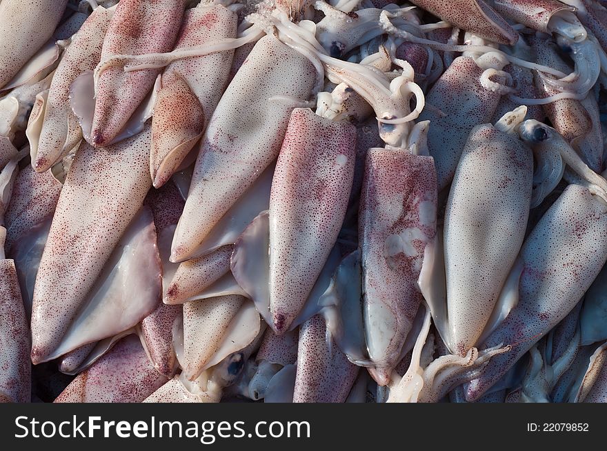 Fresh squid on the market in Thailand