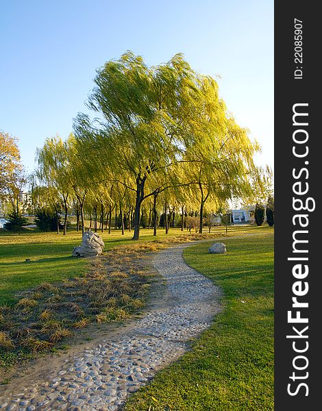 Autumnal scenery in the park