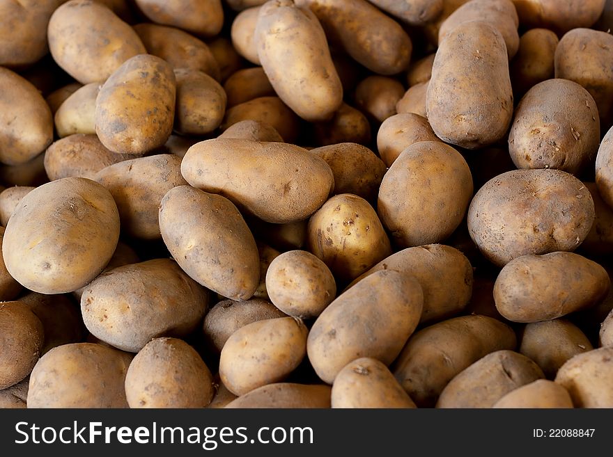 Fresh Pick Potatoes On Sale at Farmers Market. Fresh Pick Potatoes On Sale at Farmers Market