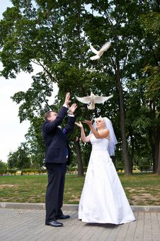Newlyweds Release Pigeons Royalty Free Stock Images Newlyweds Release Pigeons Royalty Free Stock Images