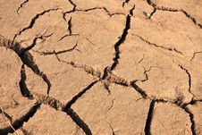 Cracked Earth Texture Stock Images