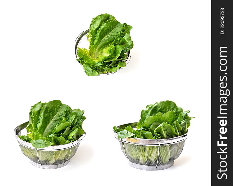 Dried fresh lettuce as a salad ingredient. Dried fresh lettuce as a salad ingredient.