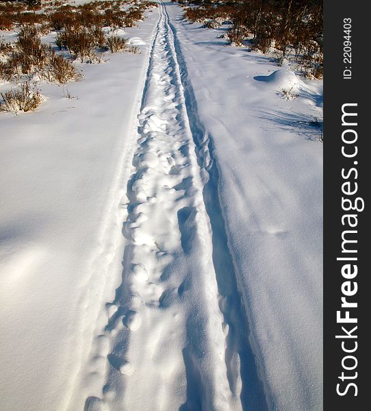 Traces of sledge on the snow