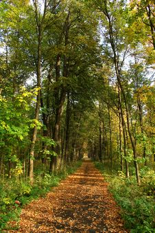 Autumn In Our Park. Stock Images Autumn In Our Park. Stock Images