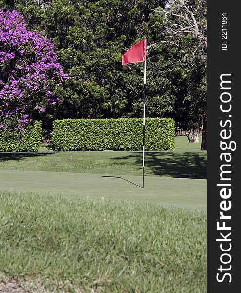 Golf Putting Green With Flag And Grass In The Foreground. Golf Putting Green With Flag And Grass In The Foreground