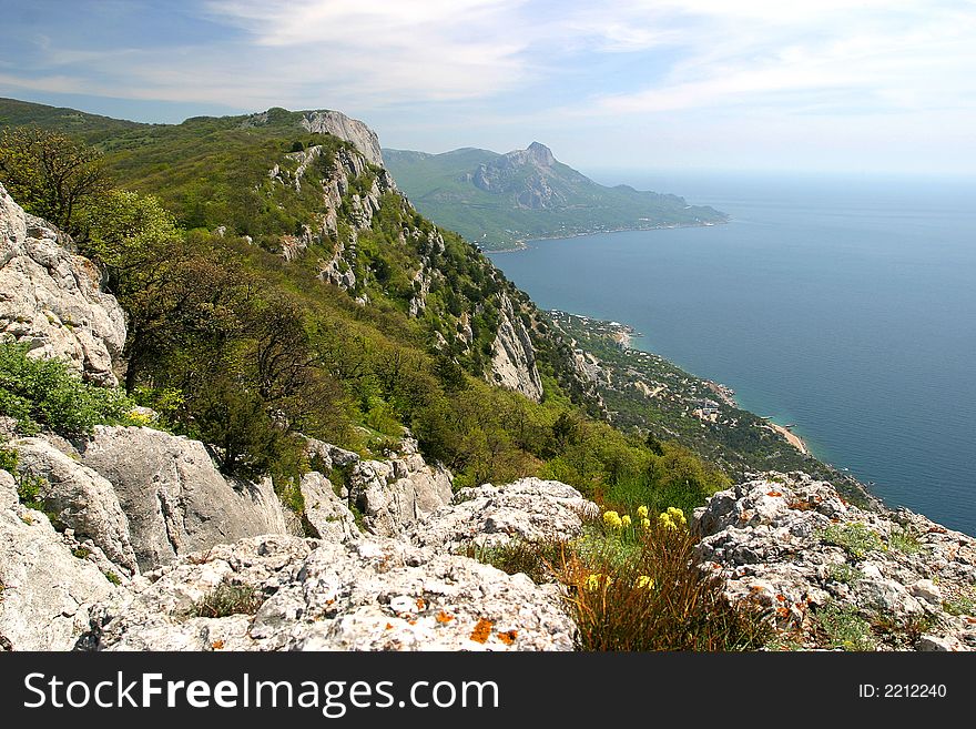 High coast of the southern sea. Summer flowers on seaside rocks. High coast of the southern sea. Summer flowers on seaside rocks