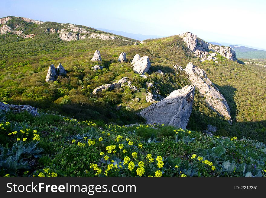 Summer. At tops of mountains beautiful flowers grow. The sky without clouds.