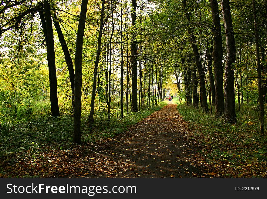 Autumn in our city. Walk in park. Autumn in our city. Walk in park.