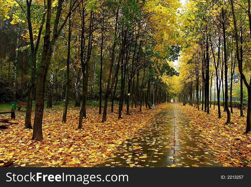 Autumn in our city. Walk in park. Autumn in our city. Walk in park.