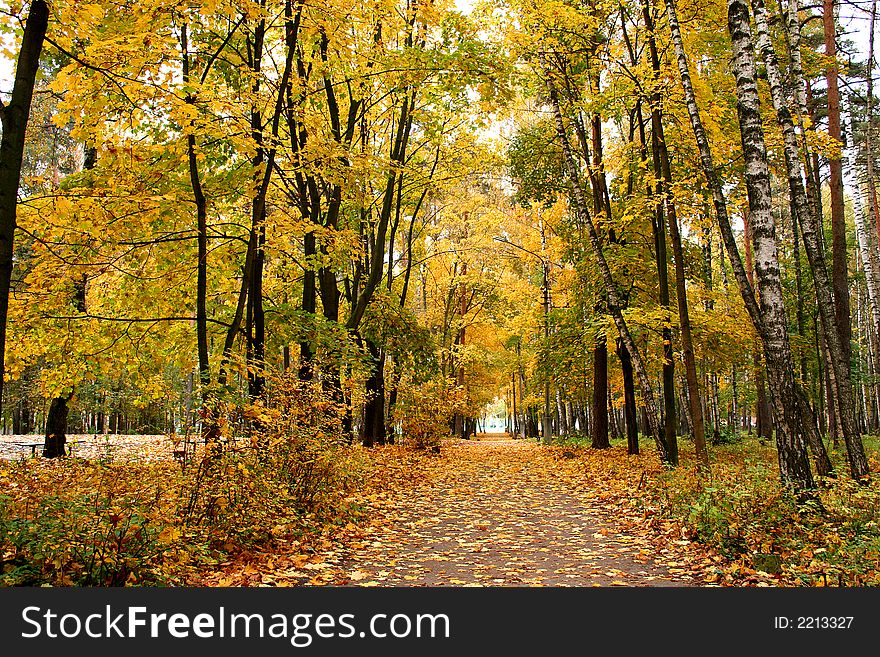 Autumn in our city. Walk in park. Autumn in our city. Walk in park.