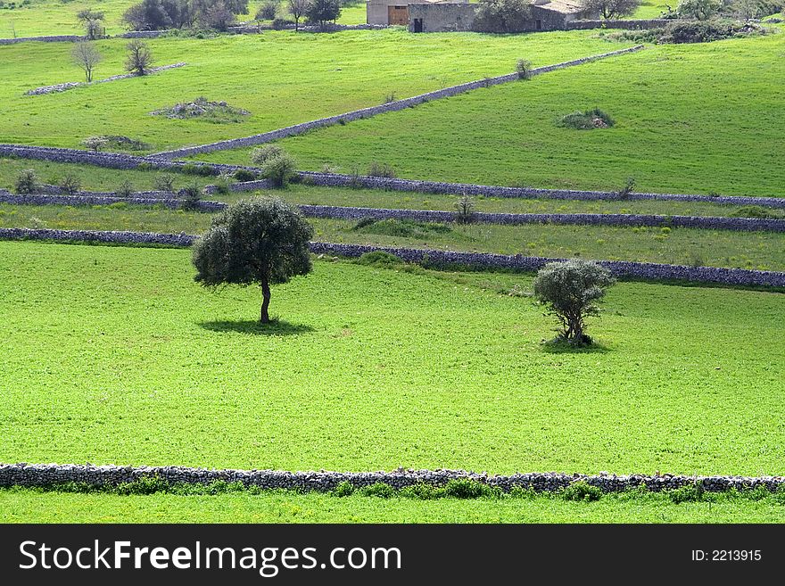 Sicilian Landscape