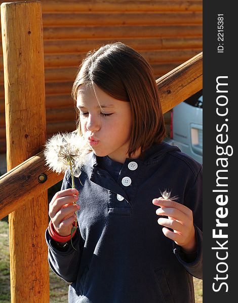 Girl blowing large dandelion gone to seed. Girl blowing large dandelion gone to seed