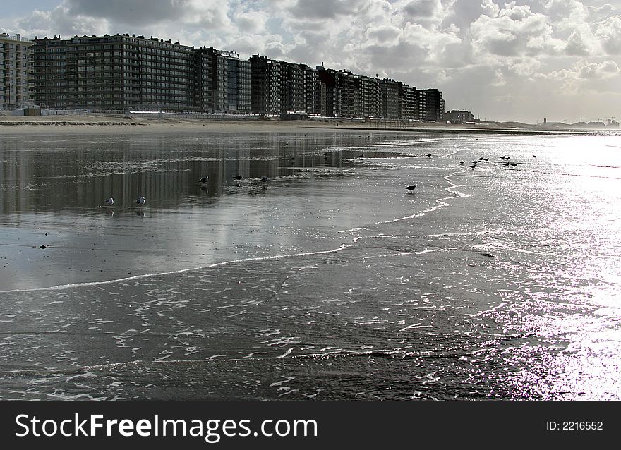 Skyscrapers along the coast in Westende-Bad (Belgium) are waiting for the tourists and summer-season. In the meantime sea-gulls are enjoying the silence in the mirroring water of the sea during ebb-tide.
