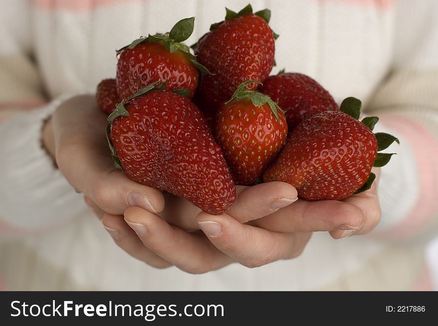Woman's hands holding fresh strawberries close up. Woman's hands holding fresh strawberries close up