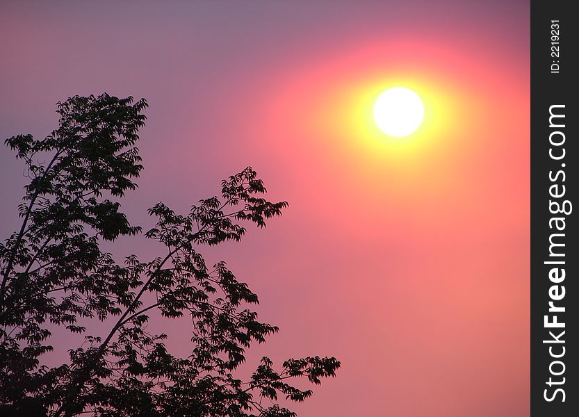 Beauty in the midst of destruction. Smoke from a nearby wildfire created this stunning yellow, orange, pink and purple mid-day sunset. Beauty in the midst of destruction. Smoke from a nearby wildfire created this stunning yellow, orange, pink and purple mid-day sunset.