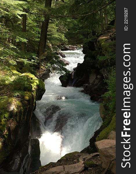 River in Glacier National Park. River in Glacier National Park