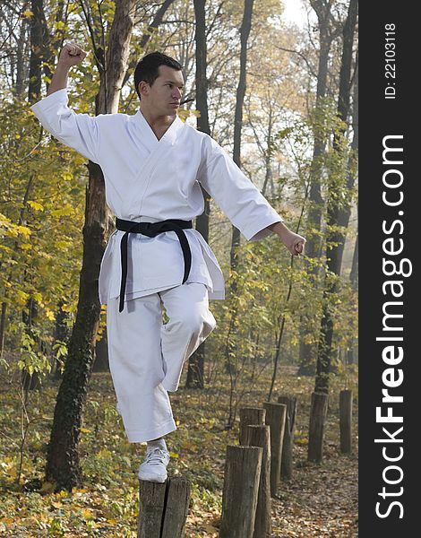 Karate training in nature in kung fu stile. Karate training in nature in kung fu stile