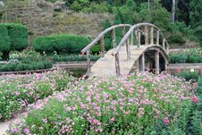 Beautiful Garden And A Wooden Bridge Royalty Free Stock Photos Beautiful Garden And A Wooden Bridge Royalty Free Stock Photos