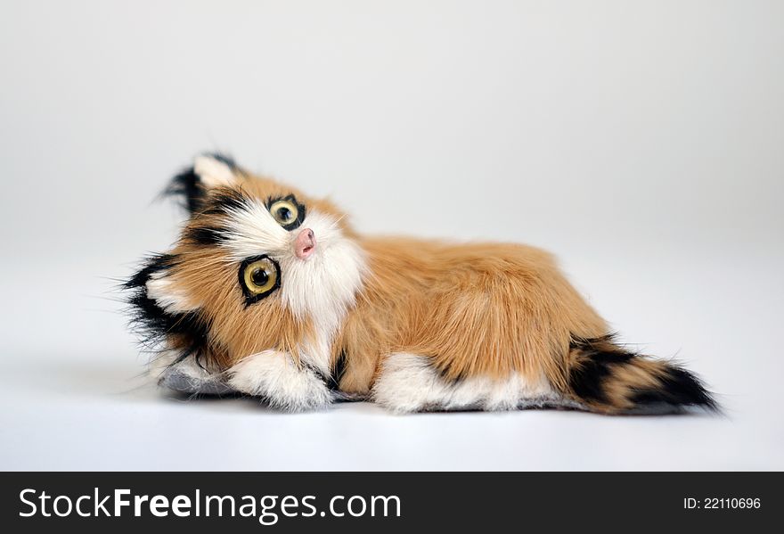 Cat doll in front of white background, clipping path included
