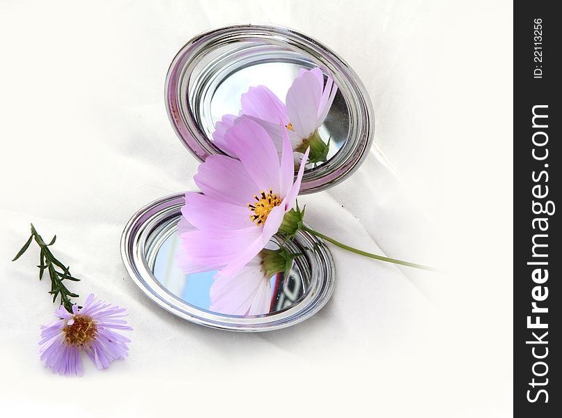 Photo of the mirror and flower's. Photo of the mirror and flower's