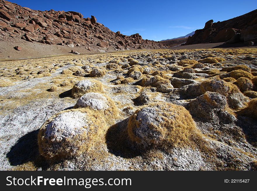 The driest desert on earth, Atacama desert, Chile