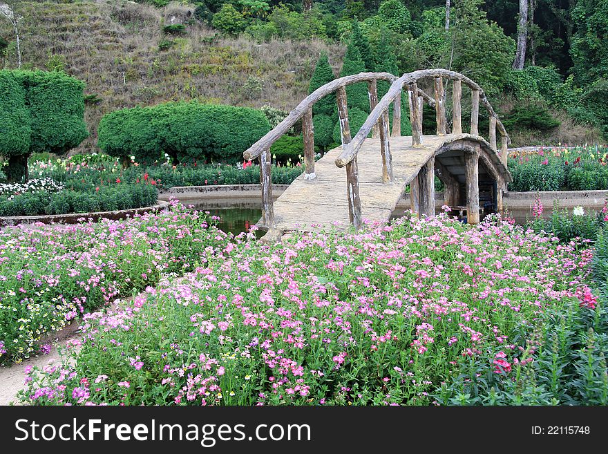 Garden and a wooden bridge at Doi Inthanon National Park, Chiangmai - Thailand. Garden and a wooden bridge at Doi Inthanon National Park, Chiangmai - Thailand