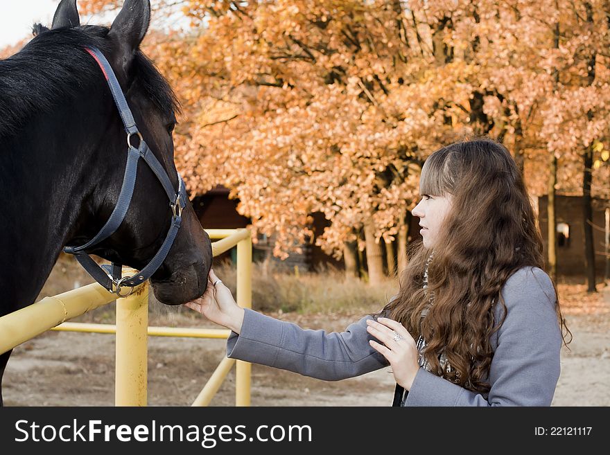 Young brunet girl playing with horse. Young brunet girl playing with horse